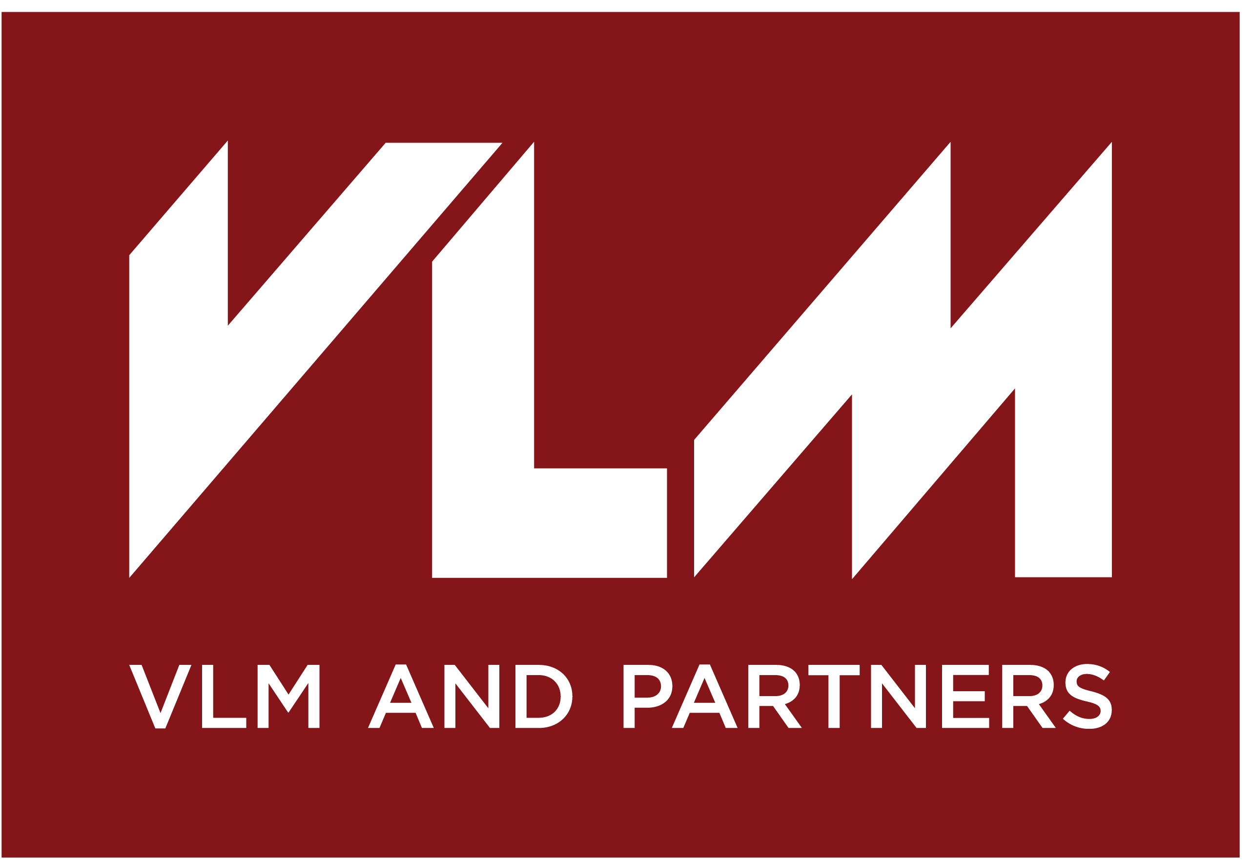 logo VLM and Partners